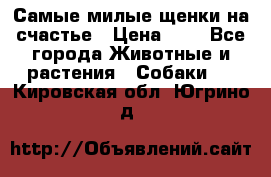 Самые милые щенки на счастье › Цена ­ 1 - Все города Животные и растения » Собаки   . Кировская обл.,Югрино д.